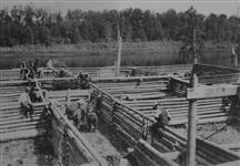 Corrals at Waterways used in moving buffalo to new park on Clearwater River, Alberta