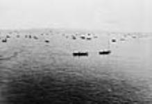 Salmon fleet at mouth of Fraser River ca. 1920 - 1925