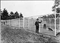 Fox farming in Ontario [1920]