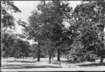 Queen's Park, Toronto, Ont [1920's]