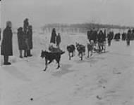 St. Godard dog team, Dog Derby, Ottawa, Ontario, 1930