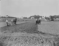 Farming near Charlottetown, P.E.I