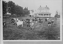 A.P. McKay's Lawndale Dairy, Charlottetown, P.E.I