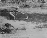 Fishing in Laurentides National Park, Quebec, c. 1930