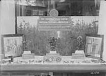 Window display showing equipment and photographs of the work done by the physical Testing Laboratory of the Topographical Survey, [Ottawa, Ont.] 4 Sept., 1925