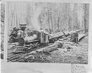 Steam Logging ca. 1900-1925