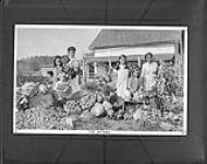 Vegetables grown by Lawrence children on Lawrence farm, Fort Vermilion, Alta n.d.