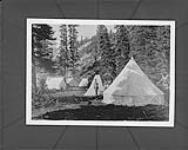 Camp scene in vicinity of Banff, Alta