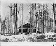 Officer's quarters [at an internment camp] ca. 1915 - 1918