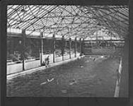 Crystal Gardens Swimming Pool, Victoria, B.C., c. 1928