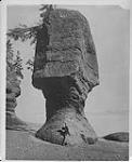 Peculiar rock formation at Hopewell, N.B