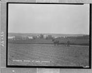 Cultivating potatoes at Lower Coverdale, N.B
