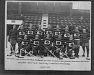 Boston Tigers Hockey Team. 1928-29 1928-1929