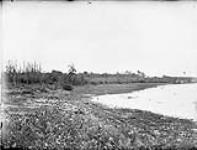 Hudson Bay Co. Post, Poplar River, Man 1890