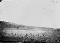 Terraces, Blackwater [West Road] River, near the Depot. B.C Oct. 1876