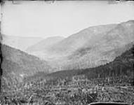 Looking up main Cherry Creek Valley from hill near mines, B.C 1877