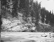 Tufaceous sandstone Nicola River, B.C 1877