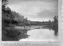 Brokenhead River [Man.] at Lowest rapids Sept. 29, 1891