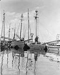 Swordfishing boats, South Ingonish Harbour, N.S n.d.