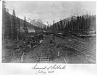 Summit of Selkirks, looking West. [B.C.] 1886