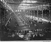 Horse Show in the Coliseum, Canadian National Exhibition, Toronto, Ontario n.d.