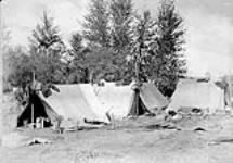 Chinese Camp 1886