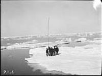 (Hudson Strait Expedition) Ice pan varying in thickness from 7 to 9 feet 7 July 1928