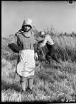 French-Canadian harvest girl 1930