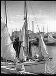 Gaspé boats at L'Anse-au-Beaufils, P.Q 1932