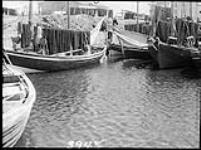 [Fishing schooners, L'Anse-au-Beaufils, P.Q.] [1932]