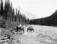 Spray river with Goat Mountain [in the background], Banff National Park, [Alta.] Sept. 1928