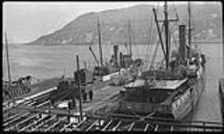 Sealing ships alongside in St. John's ca. 1910 - 1935