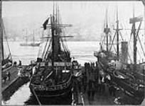 Steamships BEAGLE and VANGUARD of Baine, Johnston & Co 1873 - 1909