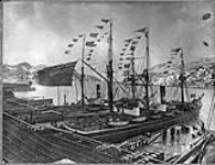 Sealing ships alongside (Left to right): S.S. ERIK or DIANA, S.S. NEPTUNE 1890 - 1918