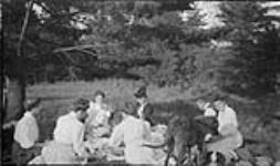 Group having a picnic n.d.
