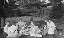 Group having a picnic n.d.