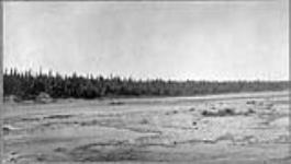 Abitibi River, [Ont.], 1905