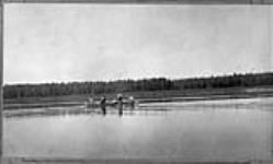 Poling on the Abitibi [River] 1905