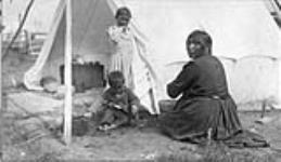 [First nation family, New Brunswick House, Ontario] Original title: Indian family New Brunswick House, Ont July 1906