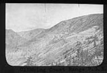Climbing Coast Range, P.G.E., [B.C.] c. 1910 [ca. 1910]