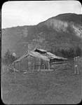 [Shack, British Columbia.] [ca. 1910]