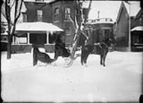 Mr. T.L. Willson's black pair with sleigh 10 Jan. 1911