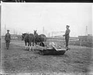 Royal Canadian Dragoons Team hauling roller, Stanley Barracks 1920