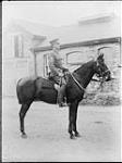 Reginald S. Timmis, Imperial Yeomanry riding "Bob" n.d.