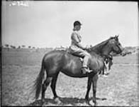 Ruth kitchen on arabian mare [Dencba], Bayview Farm 7 June 1958