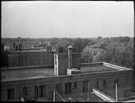 Glenview Terraces 4 Sept. 1949