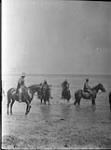 Horses of "B" Squadron, Royal Canadian Dragoons, Exercising in Lake Ontario 1914