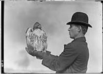 McConnell with Broad-winged Hawk on hand 29 Oct., 1908