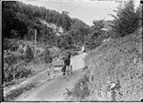 Buggy on Mountain Road, Forks of Credit, [Credit Forks, Ont.], 26 July, 1913 26 July 1913