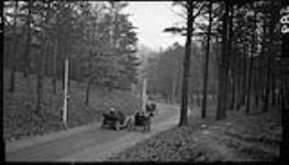An automobile and buggies on a road in High Park 30 Nov. 1913